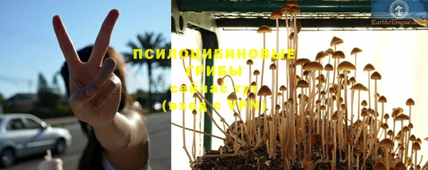 ешки Абинск