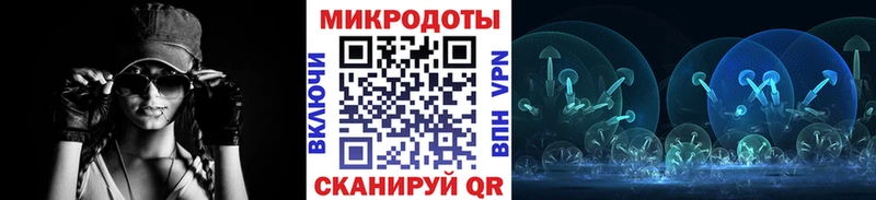 Галлюциногенные грибы Psilocybine cubensis  что такое наркотик  Александров 
